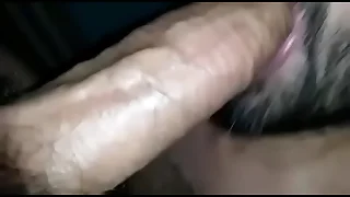 1562 sucking porn videos